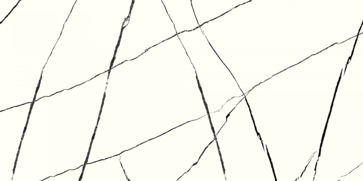 Rino Nero White 60x120 cm Full Lappato