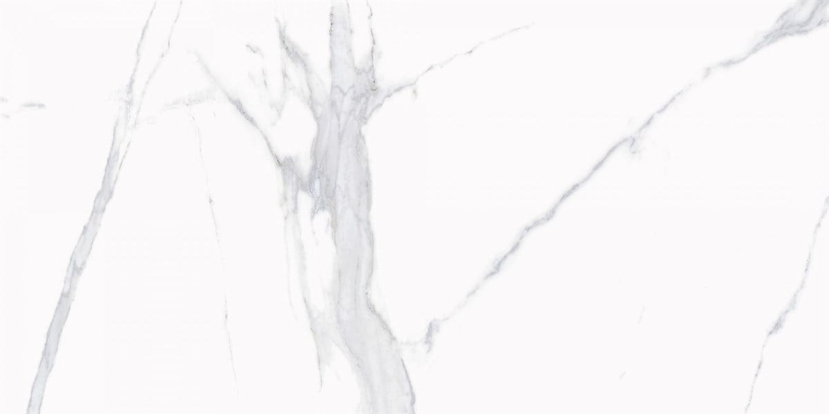 Rino Venato Grey 60x120 cm Full Lappato