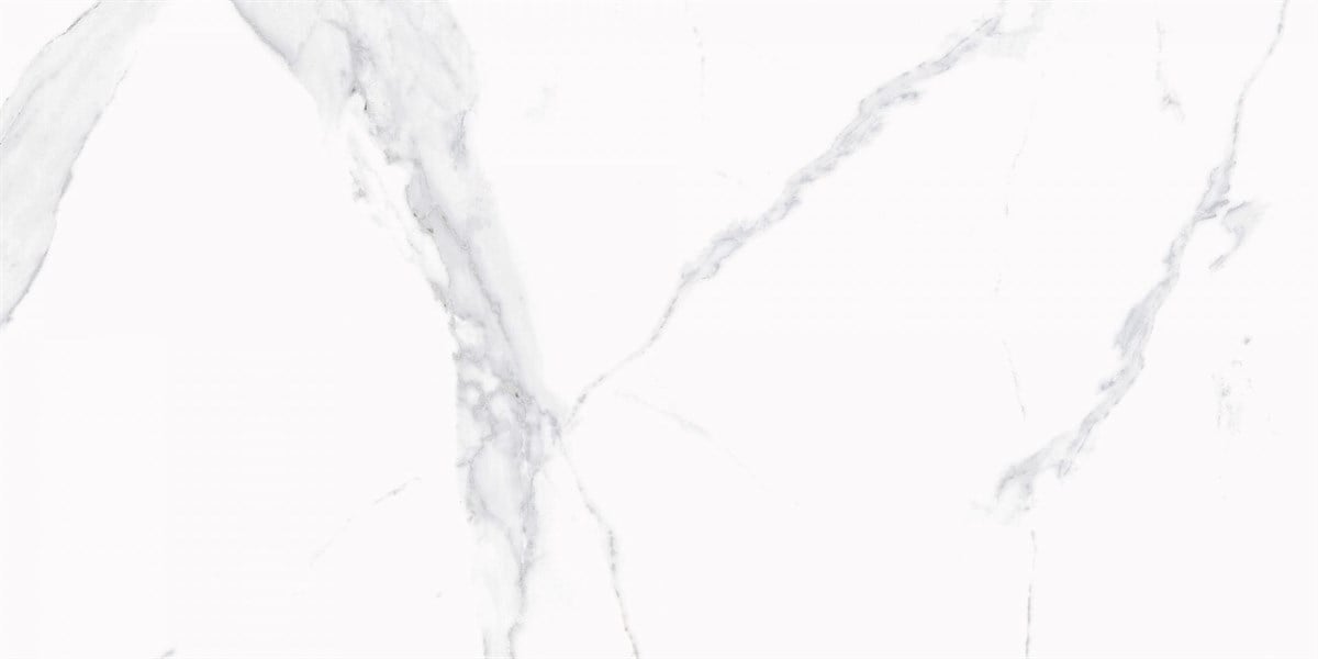 Rino Venato Grey 60x120 cm Full Lappato