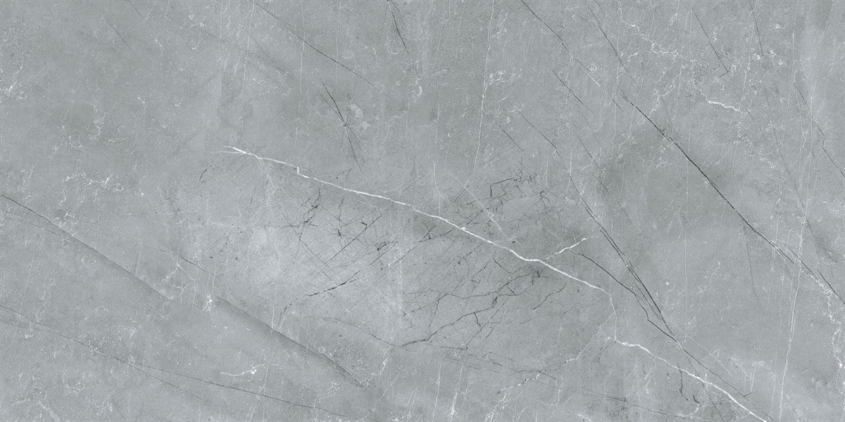 Rino Viva Grey 60x120 cm Full Lappato