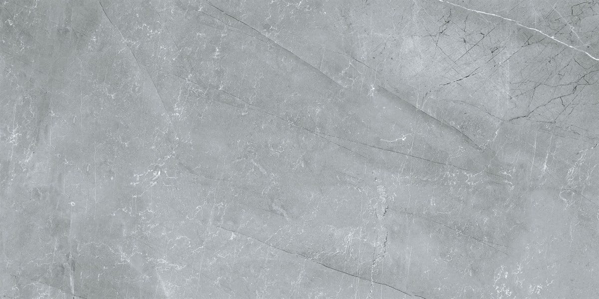 Rino Viva Grey 60x120 cm Full Lappato
