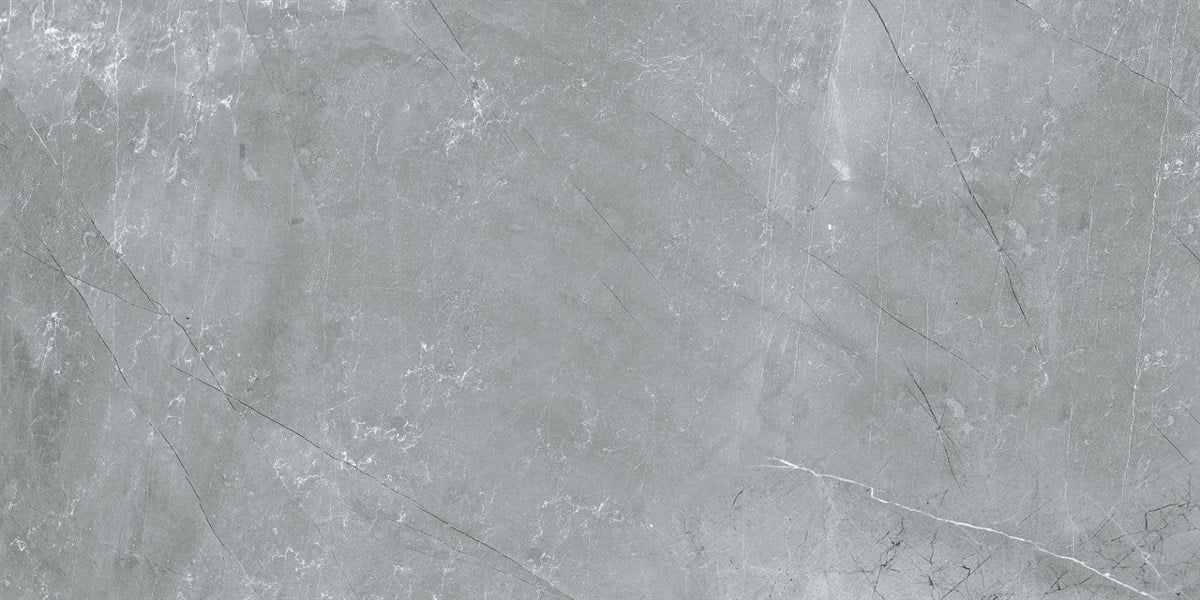 Rino Viva Grey 60x120 cm Full Lappato