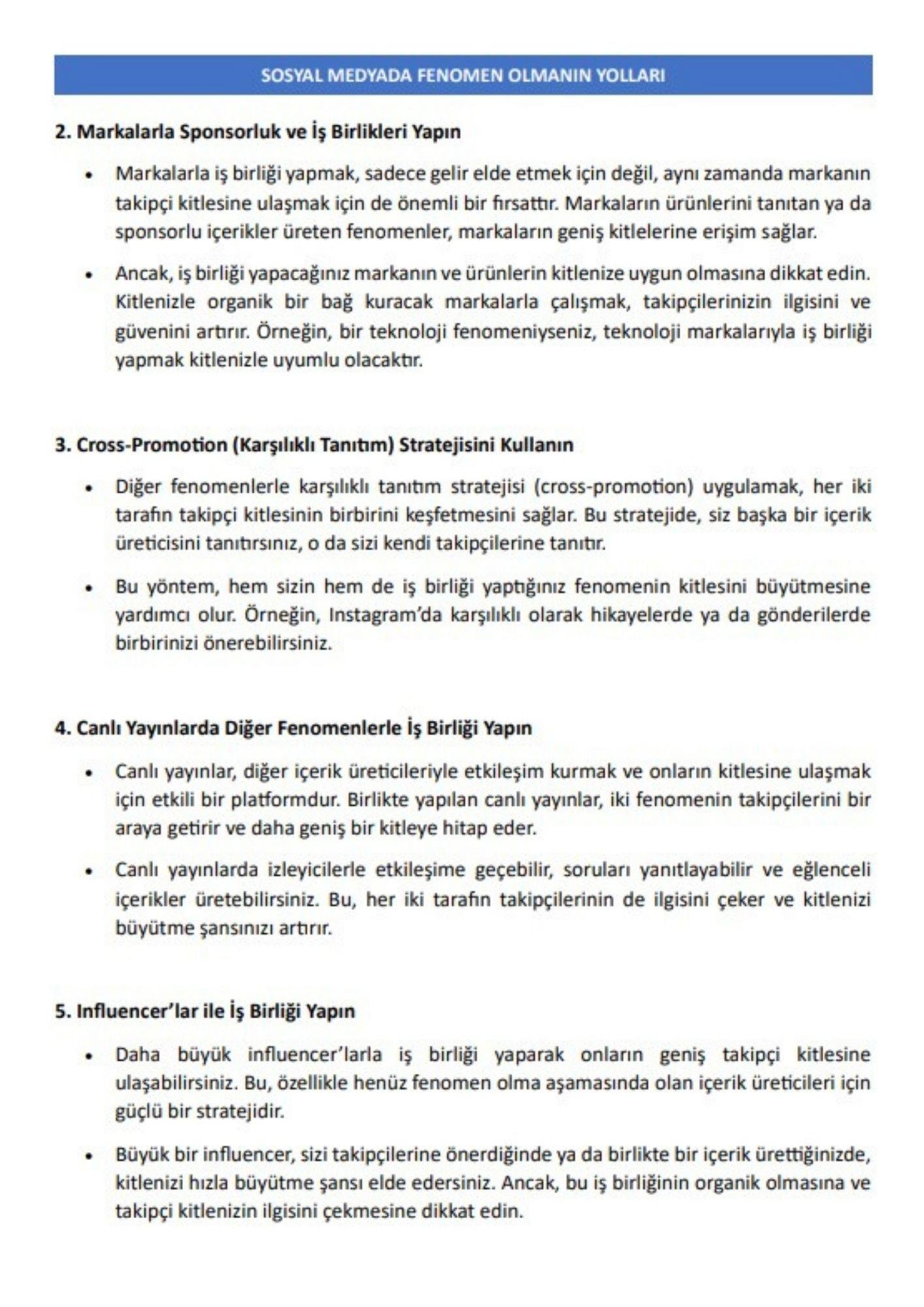 100 Adımda FENOMEN Olmanın Yolları Kitabı