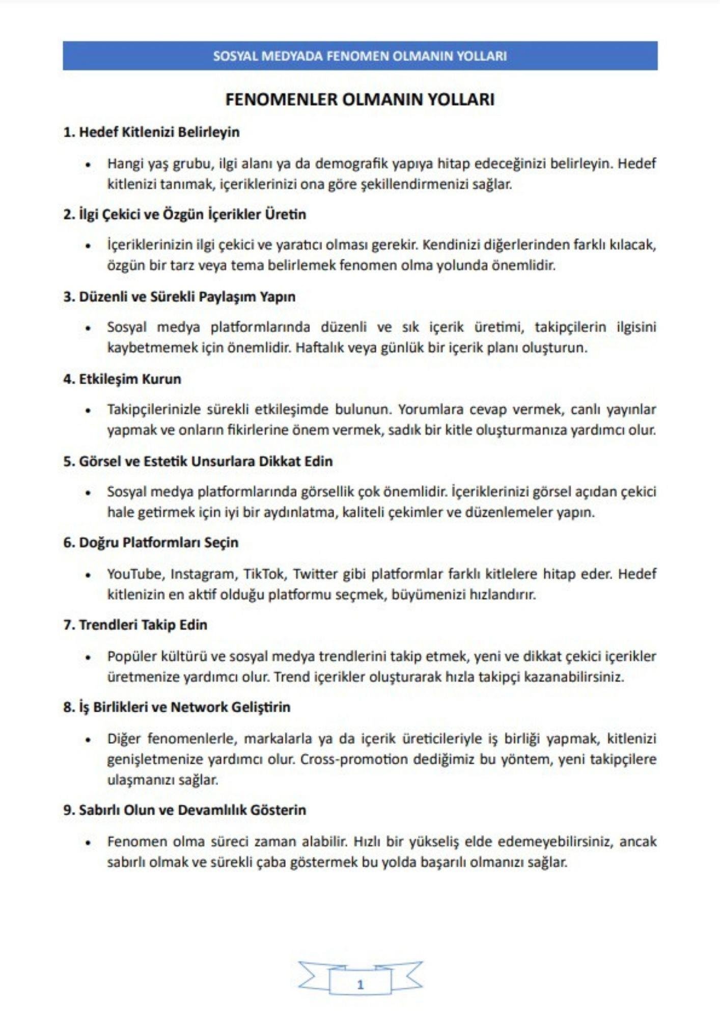 100 Adımda FENOMEN Olmanın Yolları Kitabı