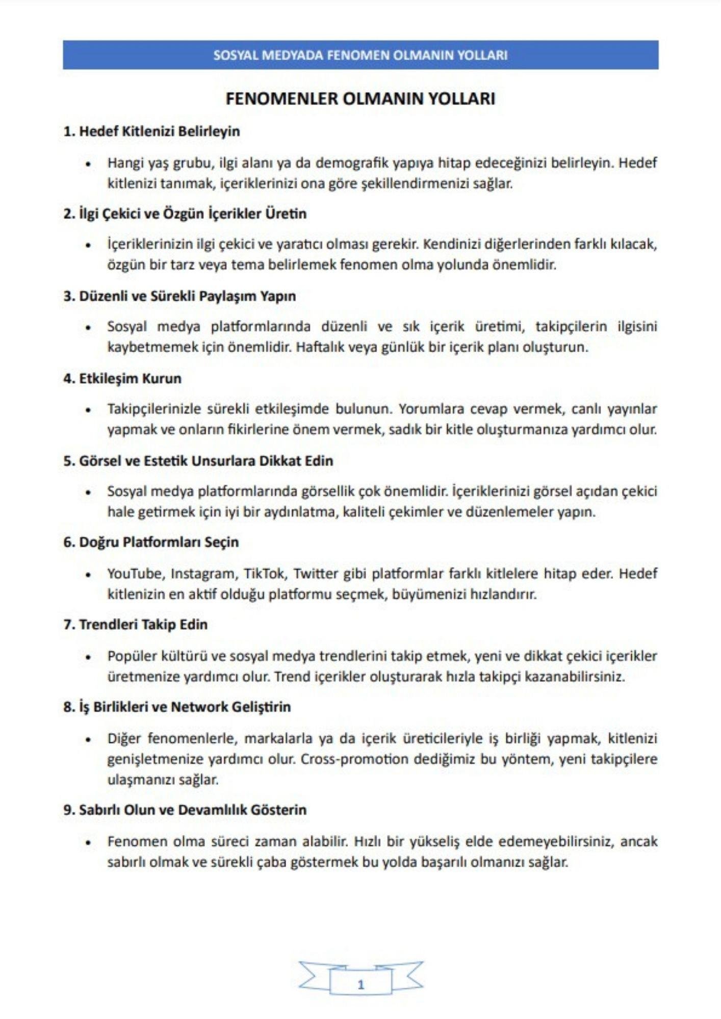 100 Adımda FENOMEN Olmanın Yolları Kitabı