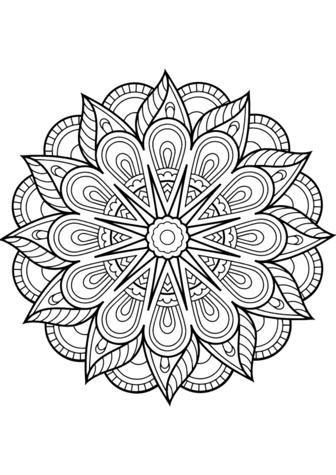 100 Karışık Mandala Kitap Seti (3 Kitap)