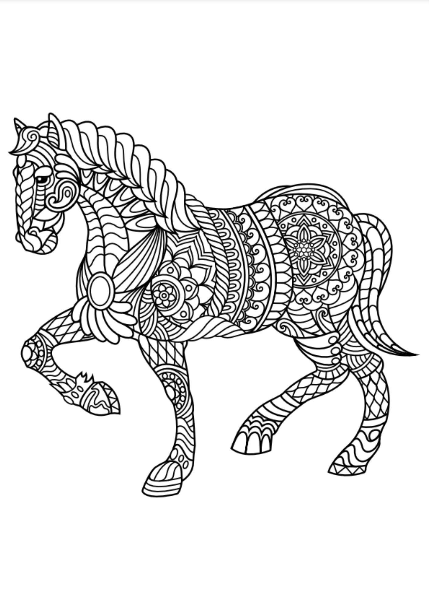 100 Karışık Mandala Kitap Seti (3 Kitap)