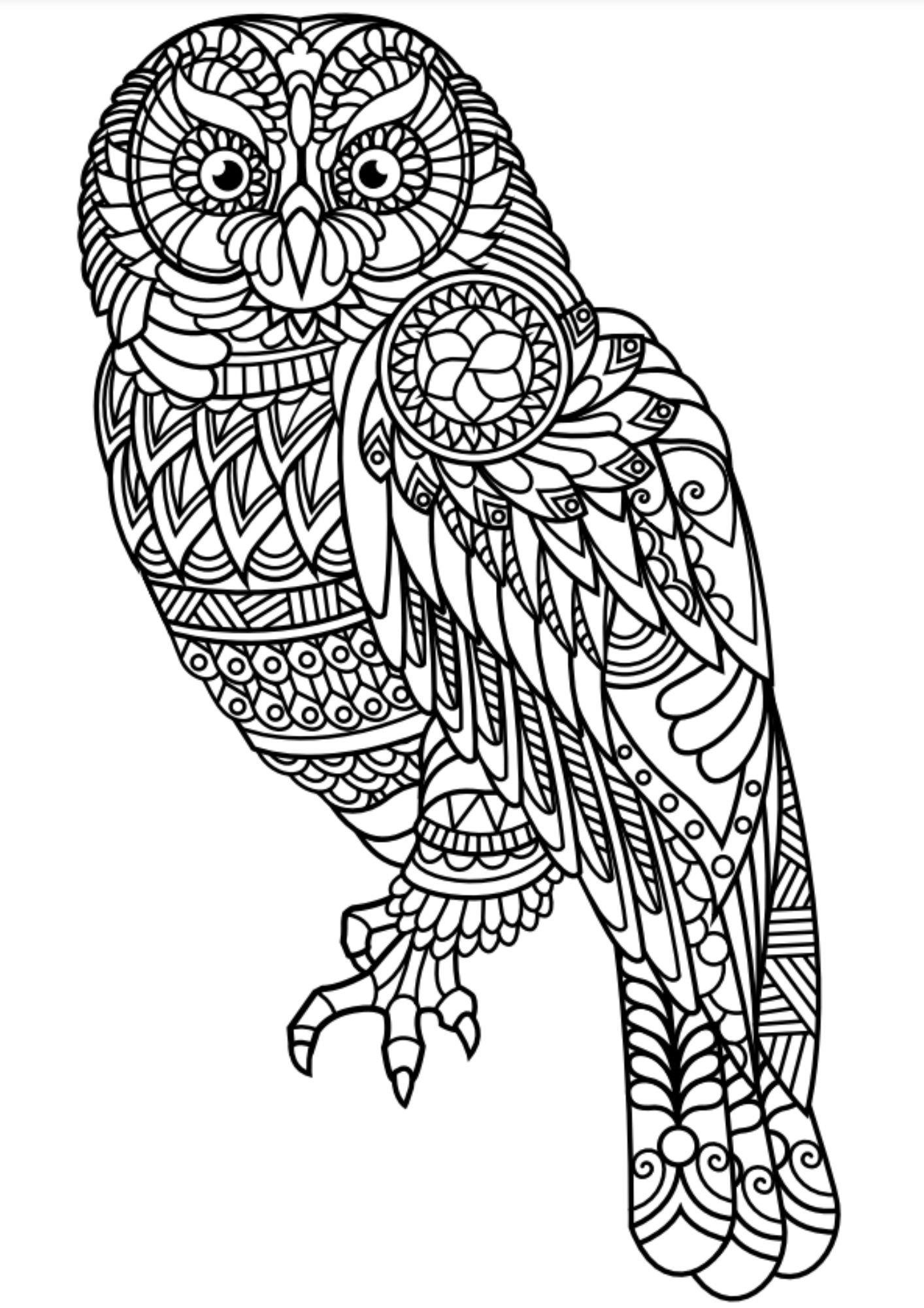 100 Karışık Mandala Kitap Seti (3 Kitap)