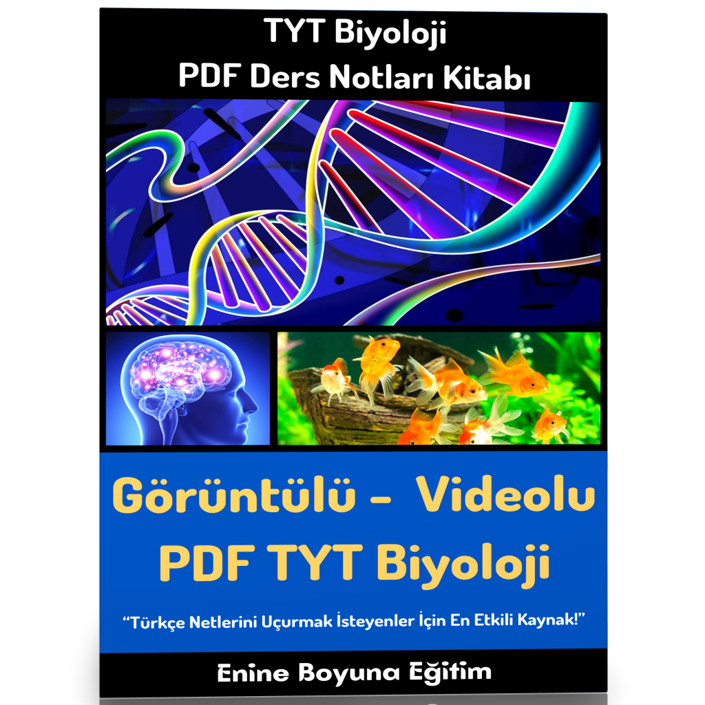 2025 TYT Biyoloji Modüler PDF Ders Notları Kitabı (150 Sayfalık ÖZET)