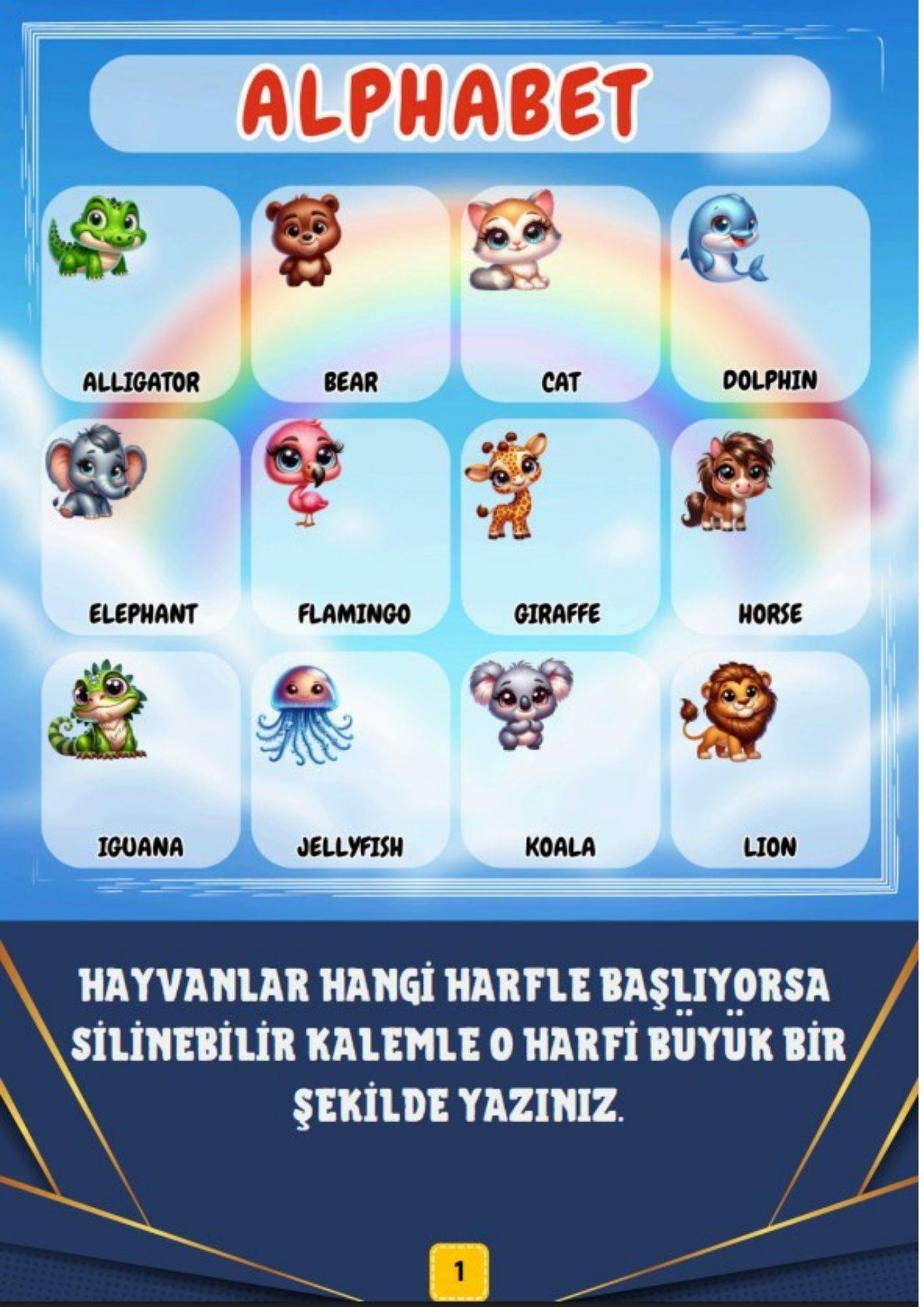 3-7 Yaş Cırt Cırtlı Zeki Çocuk Aktivite Seti (YAZ-SİL)