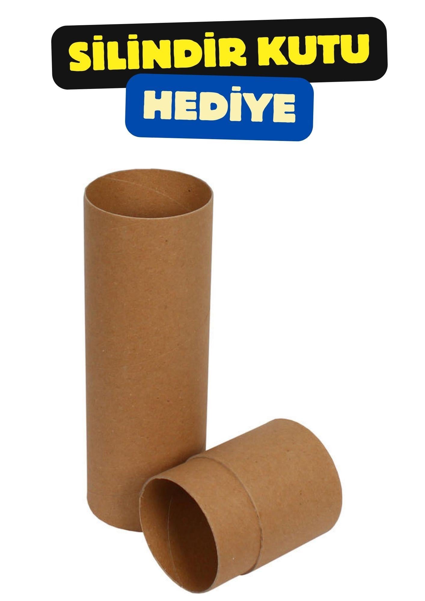 Anime Boyama Poster Seti (Silindir Kutu ve Afiş Hediyeli)