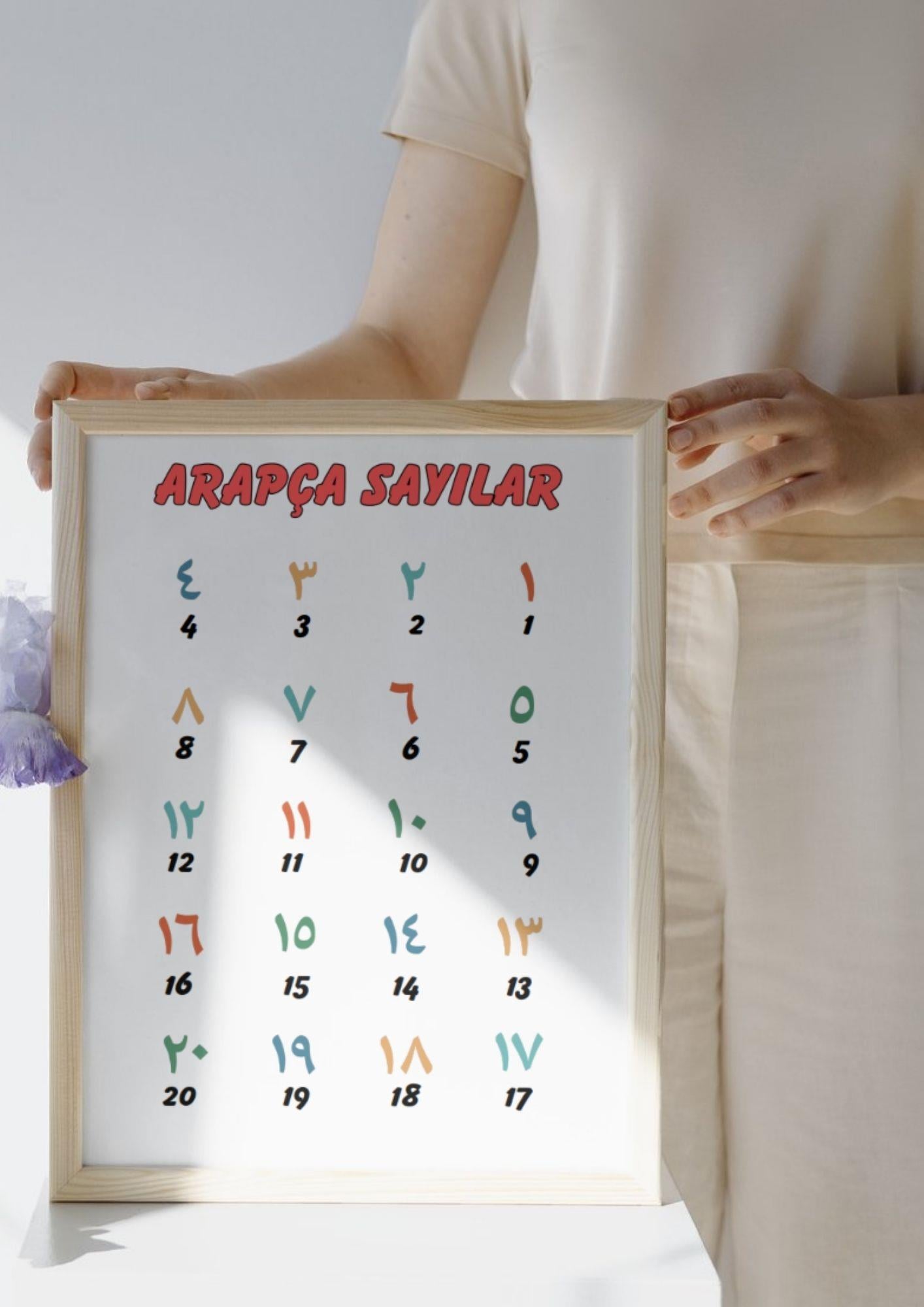 Arapça Alfabe ve Sayılar Posterleri (A3 Boyutlarında)