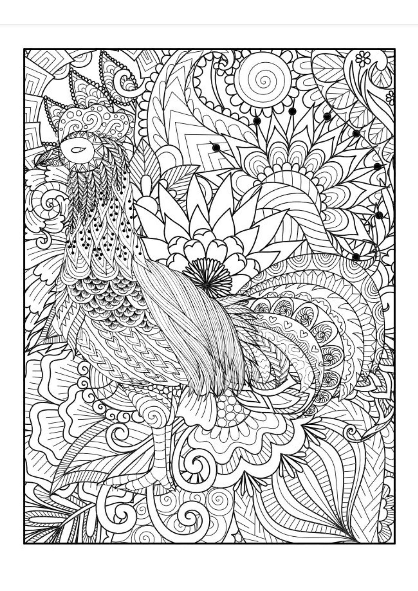 Büyülü Mandala Boyama Kitabı (Herkes İçin)