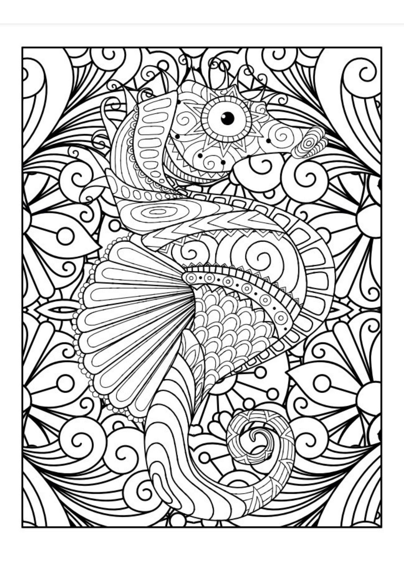 Büyülü Mandala Boyama Kitabı (Herkes İçin)