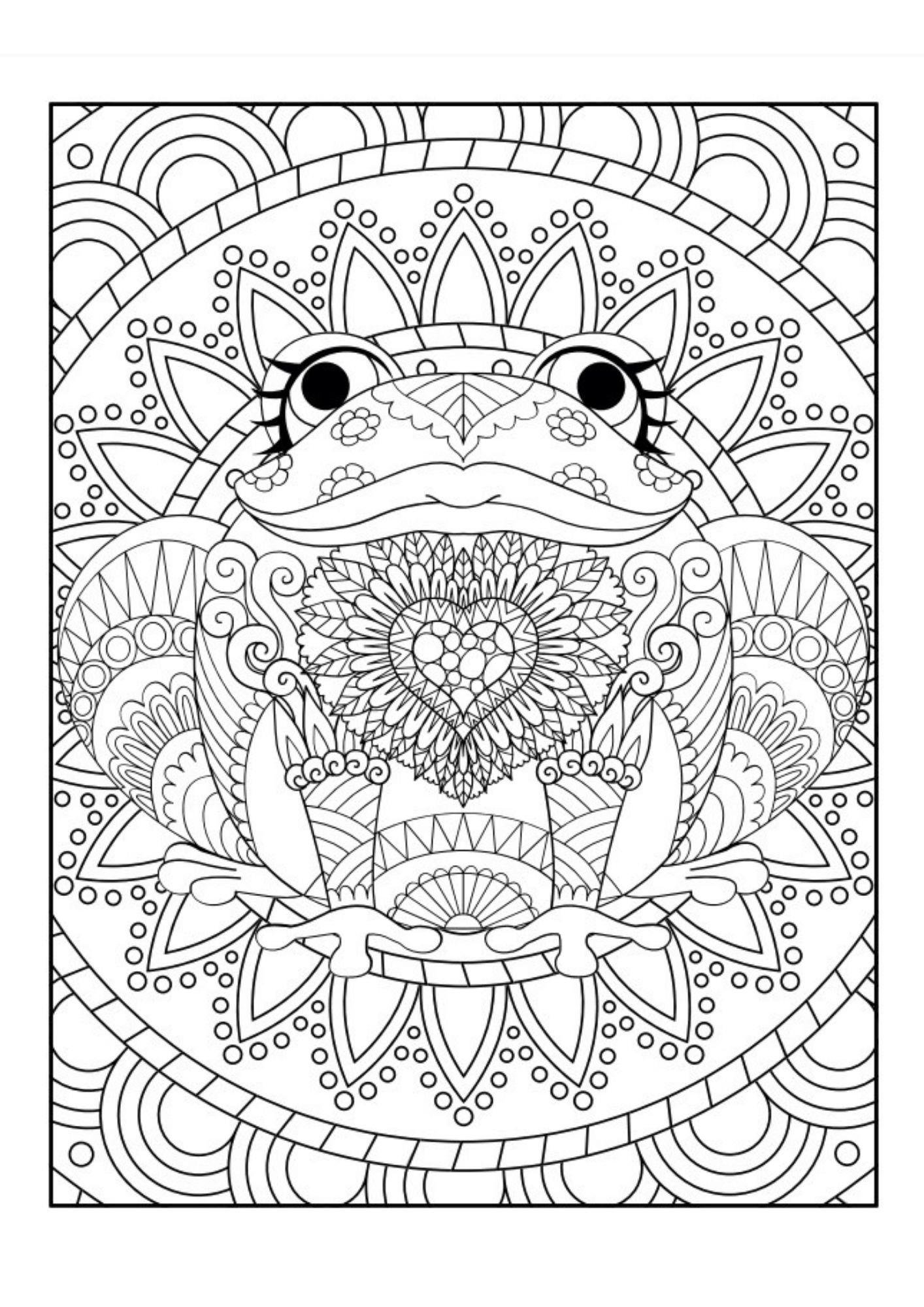 Büyülü Mandala Boyama Kitabı (Herkes İçin)