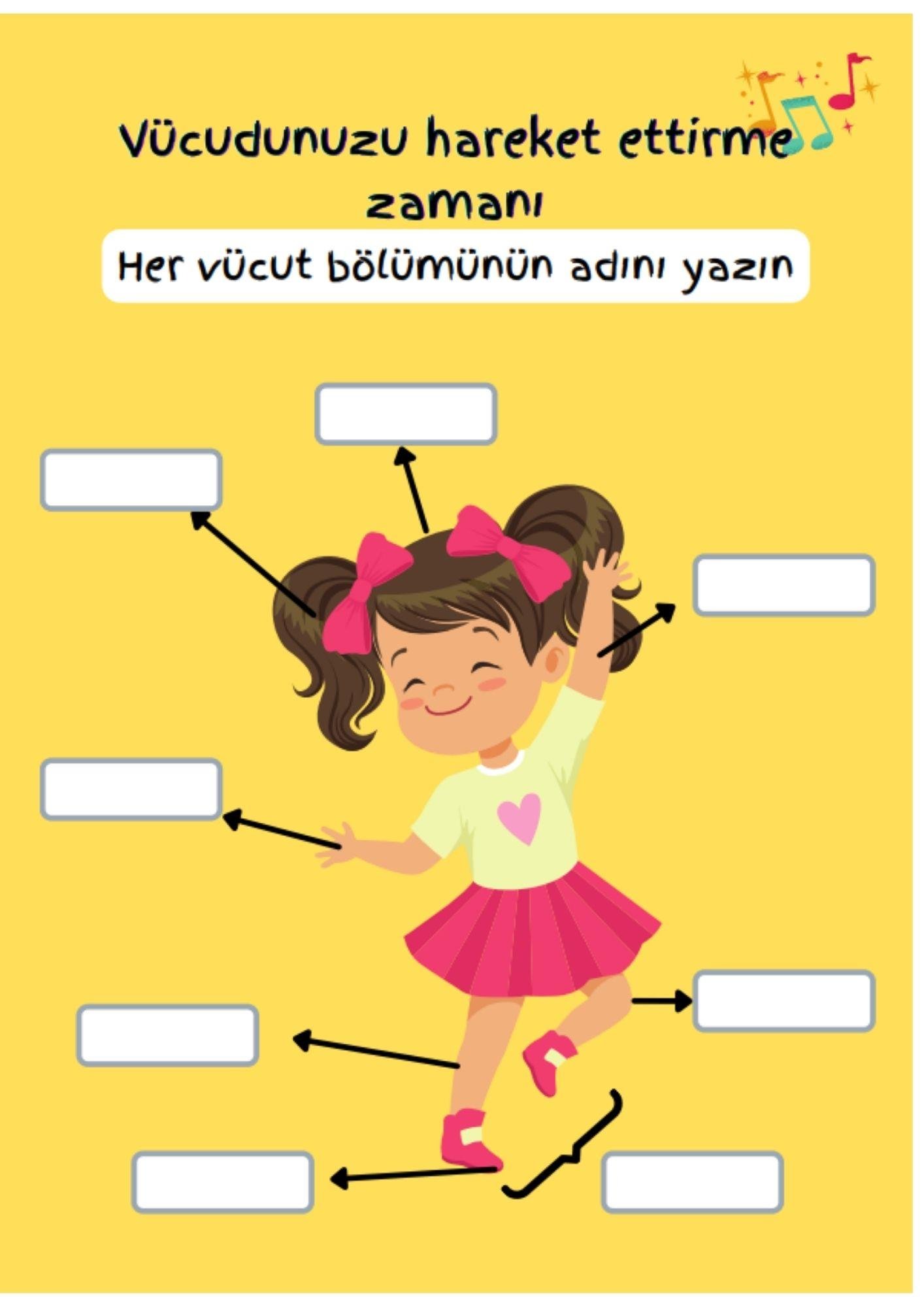 Çocuklar İçin ANATOMİ Öğreten YAZ-SİL Kitabı