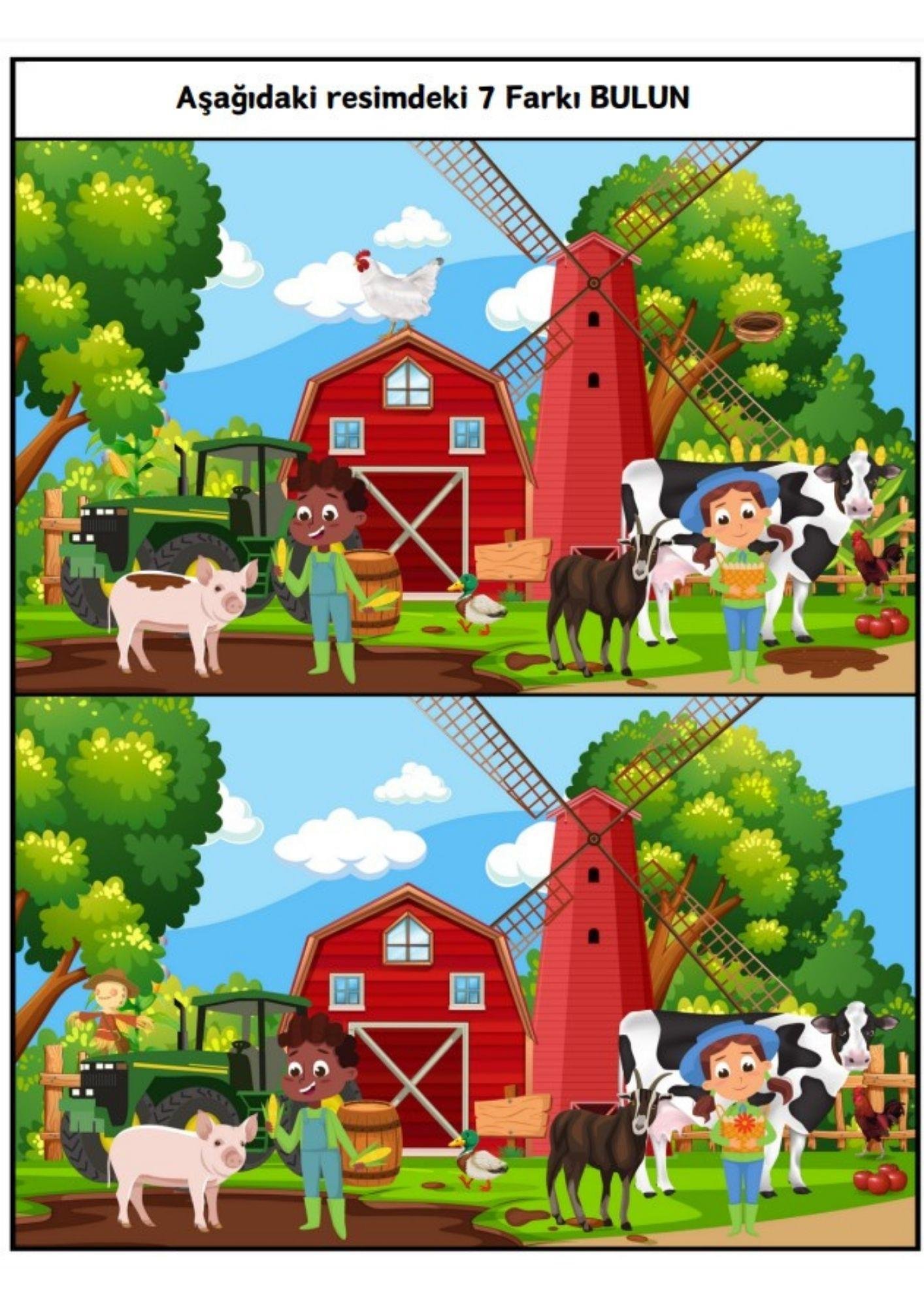 En İyi Fark Bulma Kitabı