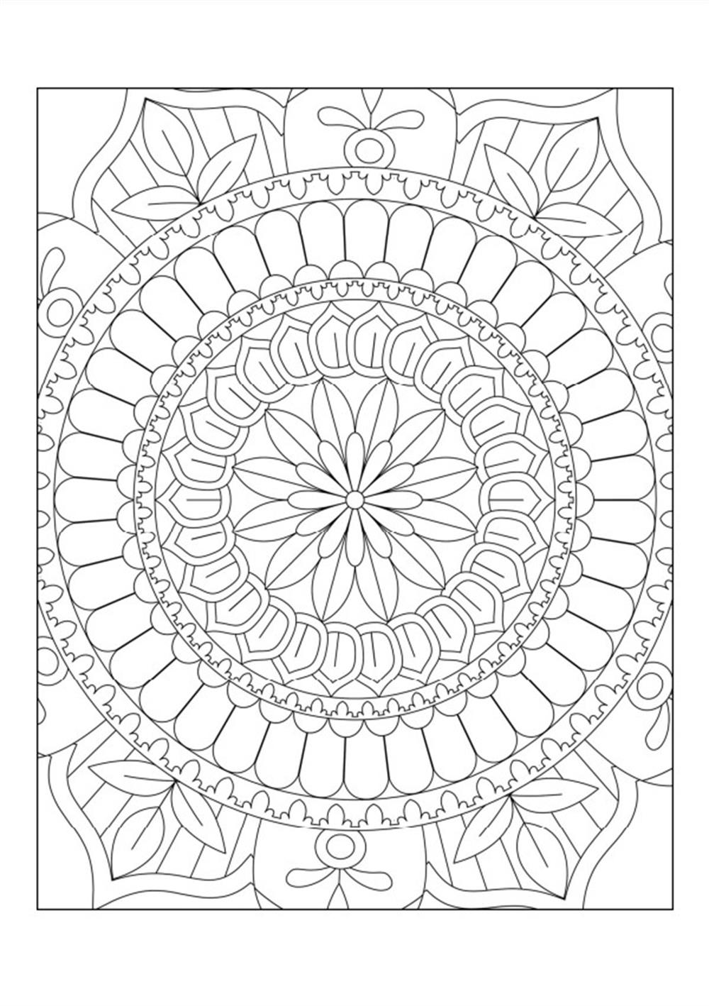 EN SÜPER Mandala Kitap Seti (3 Kitap)