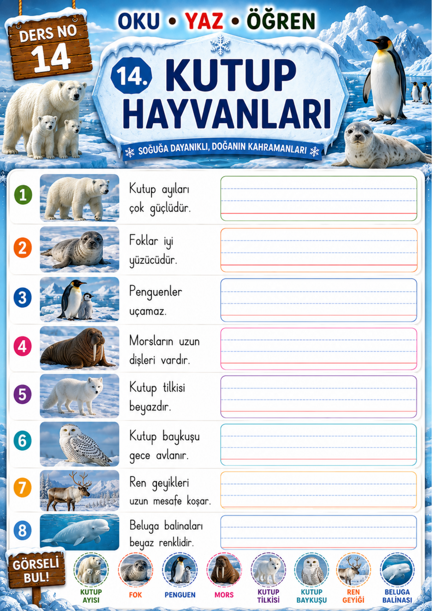 FİŞLERLE OKUMA YAZMA – 100 DERS