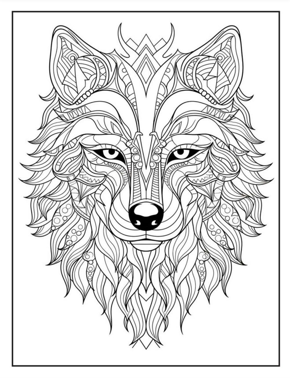 Hayvanlar Mandala Kitap Seti (4 Kitap)