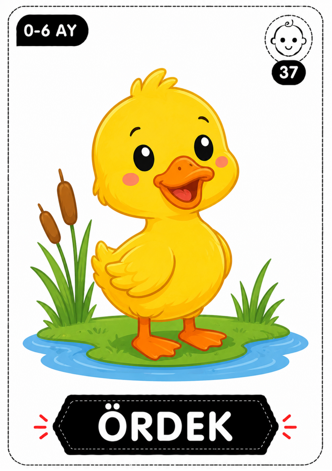 İlk Bakış Bebek Gelişim Kartları Kitabı (0-6 Ay)