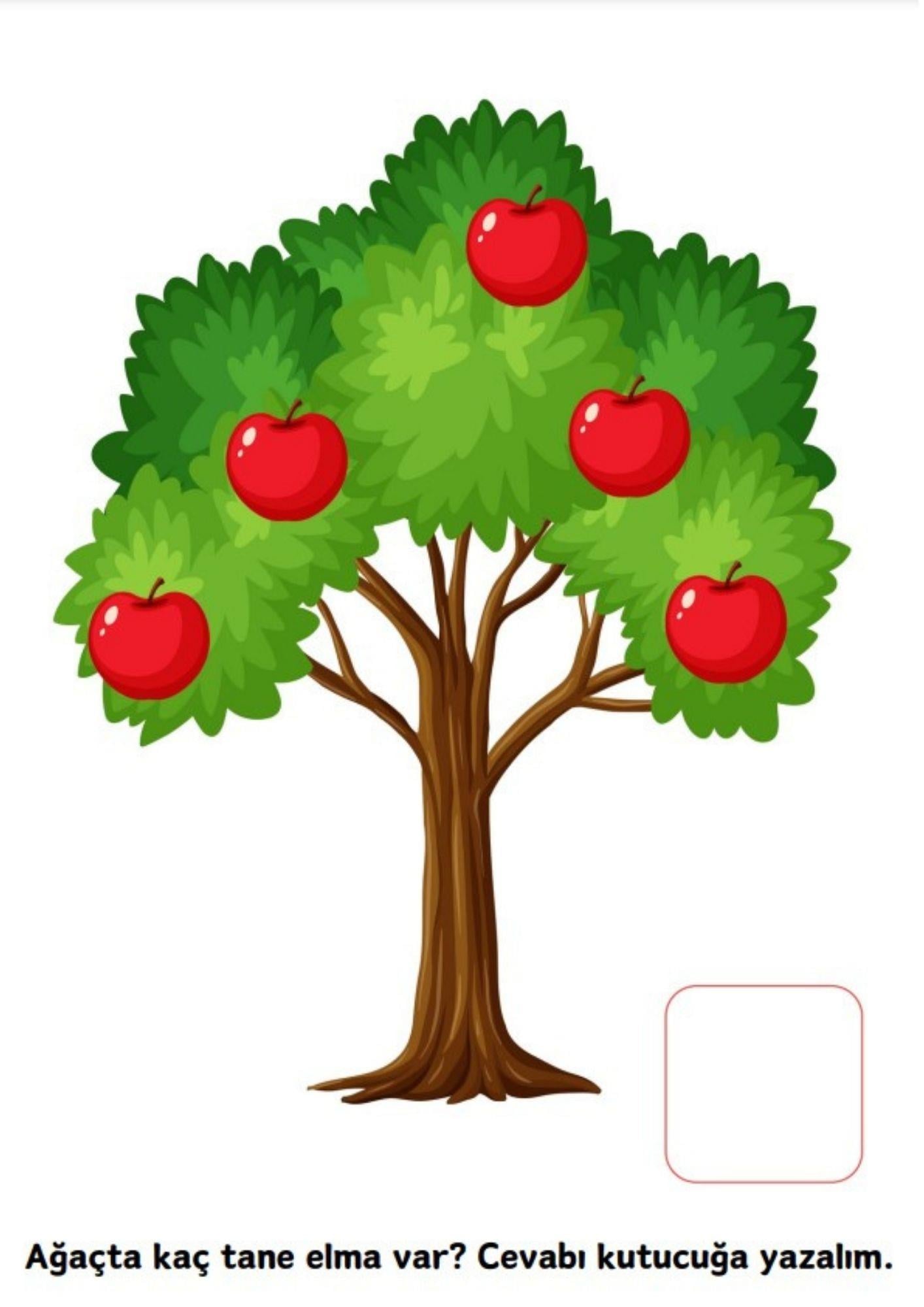 İLK Matematik YAZ-SİL Kitabım 