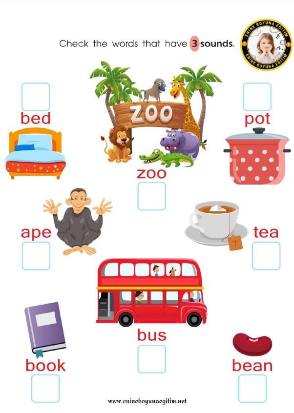 İngilizce Öğreten Set (Dijital Eğitim Seti)