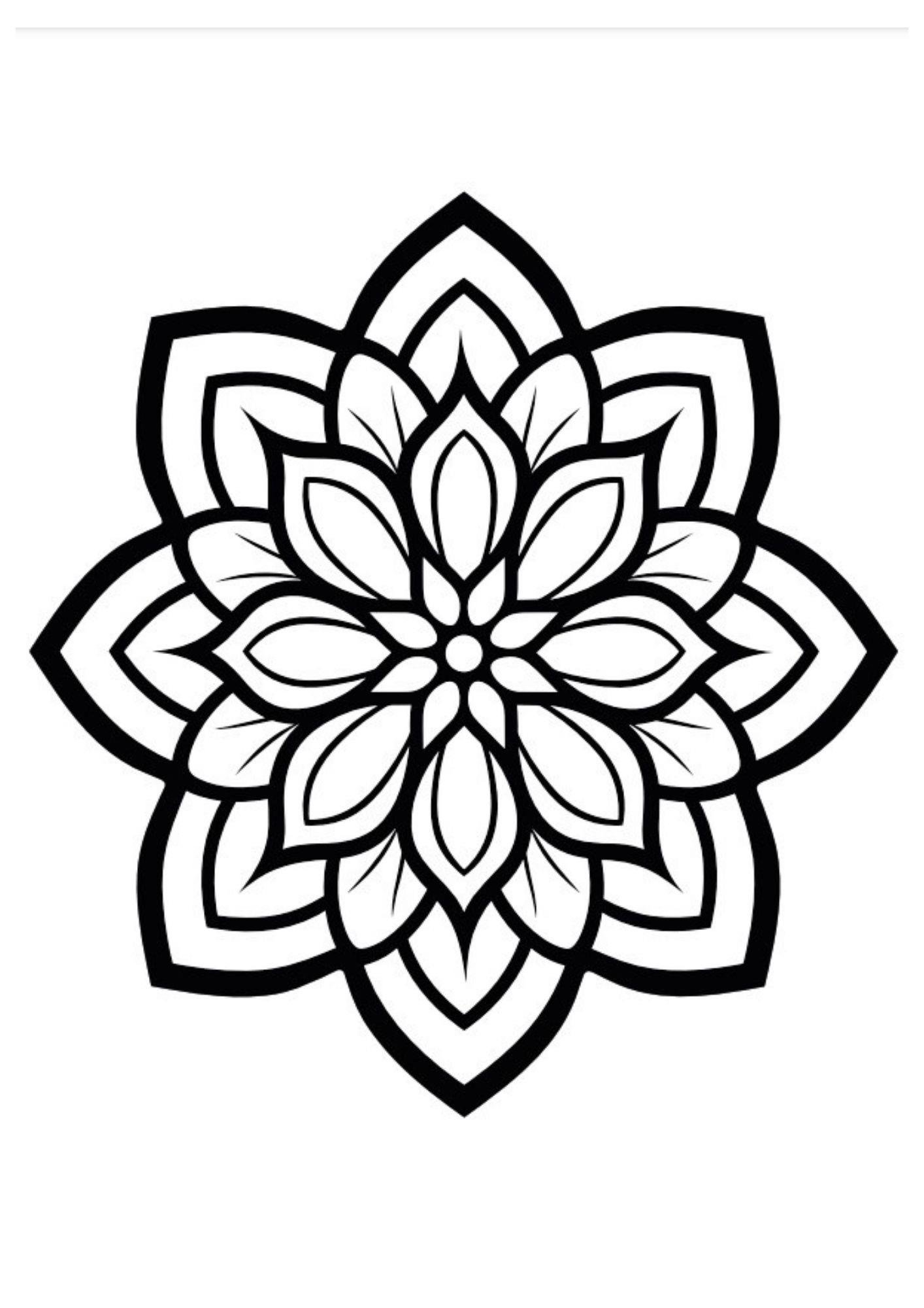 Kolaydan Zora Mandala Kitap Seti (4 Kitap)
