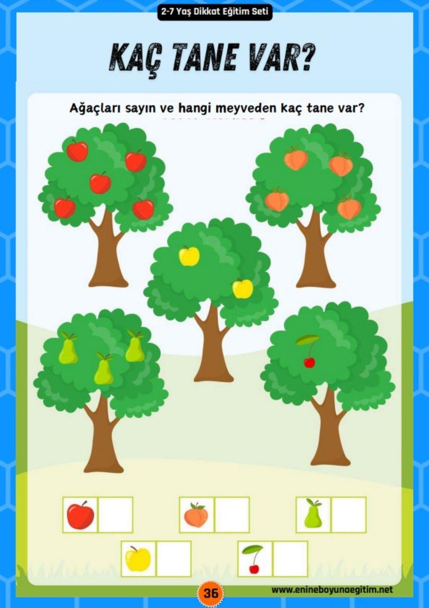 Okul Öncesi 2-7 Yaş Dikkat Eğitim Seti YAZ-SİL (2 Kitap)