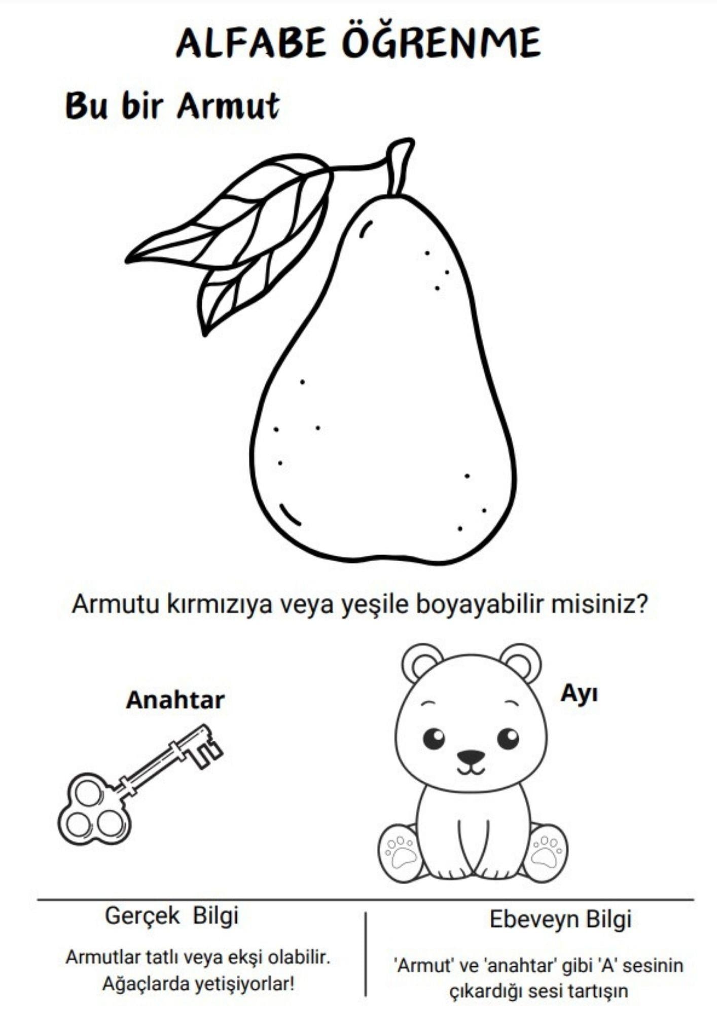 Okul Öncesi Evde İLK Eğitim Renklendir Öğren