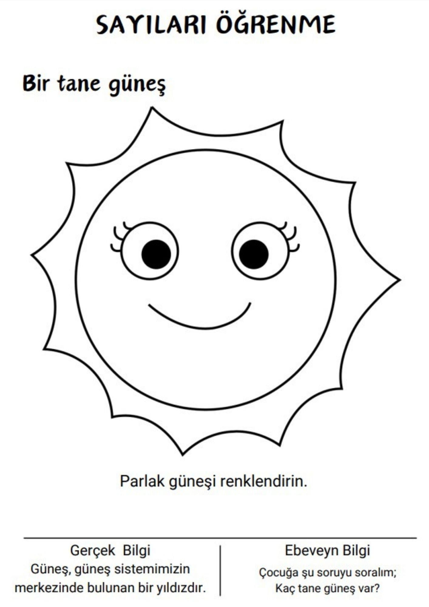 Okul Öncesi Evde İLK Eğitim Renklendir Öğren