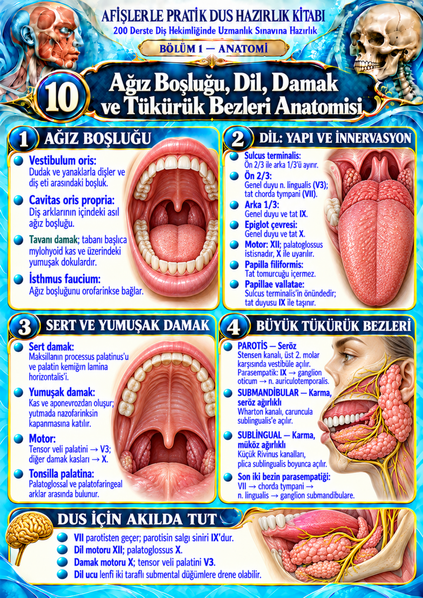 PRATİK DUS HAZIRLIK KİTABI