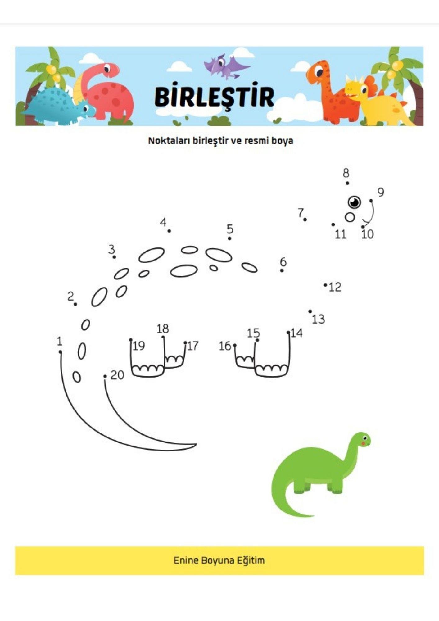 Sevimli Dinom Matematik YAZ-SİL Kitabı