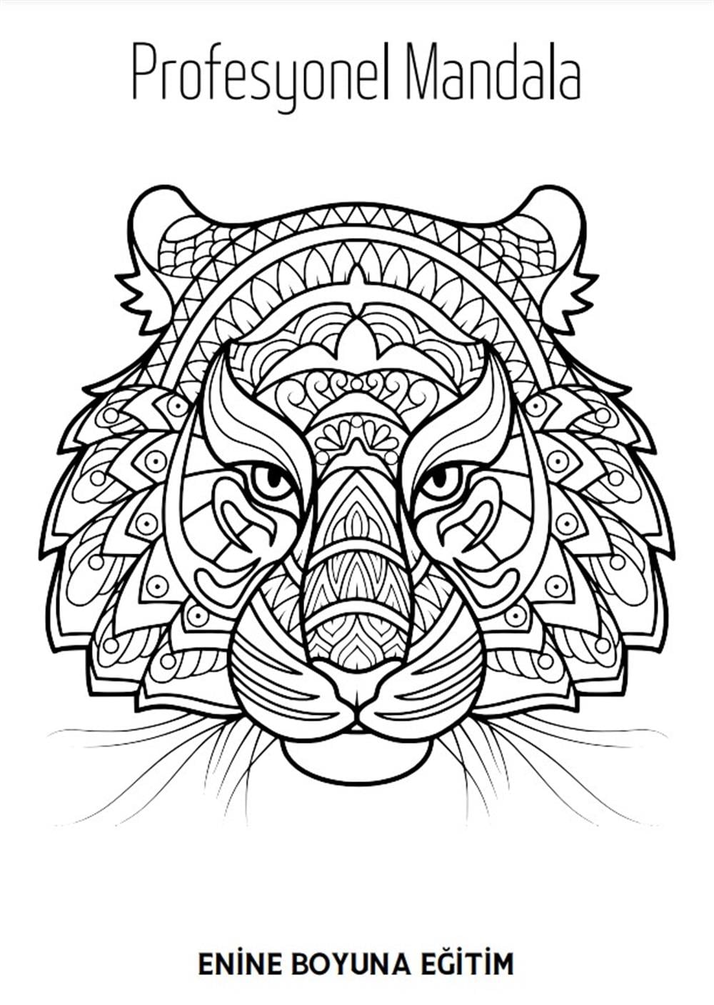 Süper MANDALA Kitap Seti (3 Kitap)