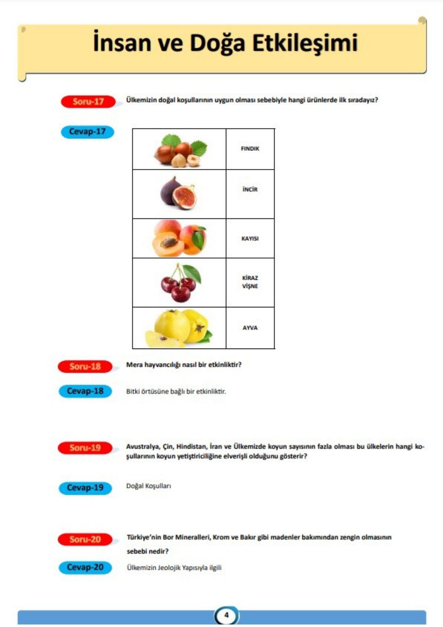 TYT Coğrafya Modüler Kitap Seti (8 Kitap + Ders Videoları)