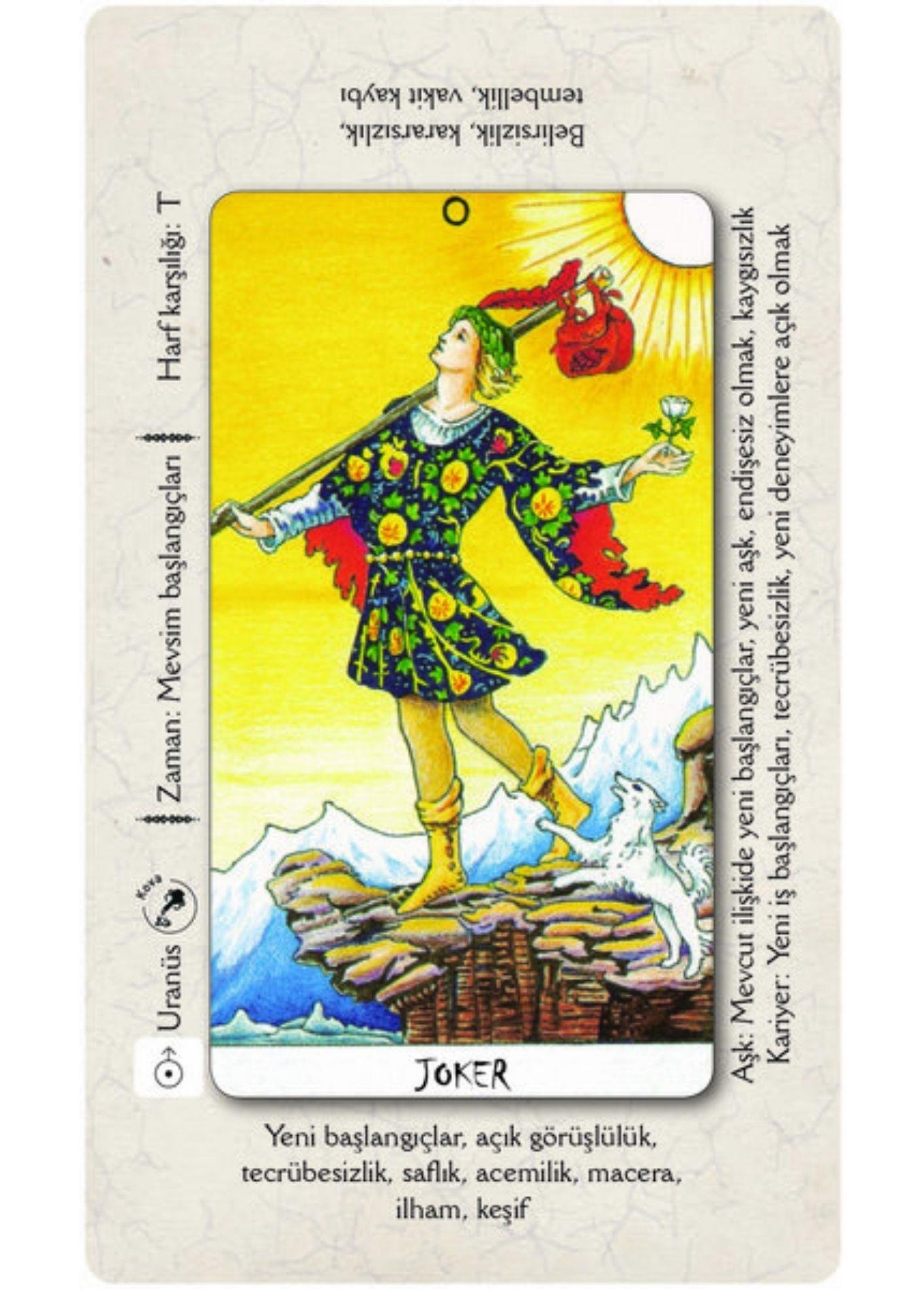 Yeni Başlayanlar için Tarot Eğitim Seti