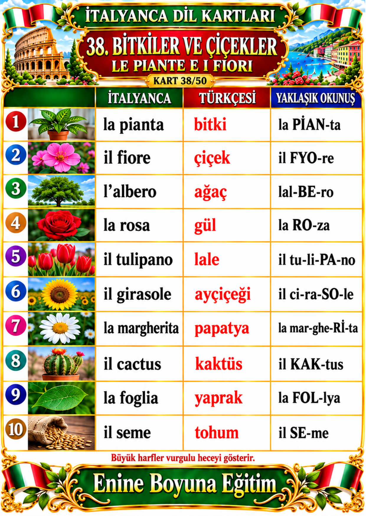 Zincirli İtalyanca Dil Kartları 