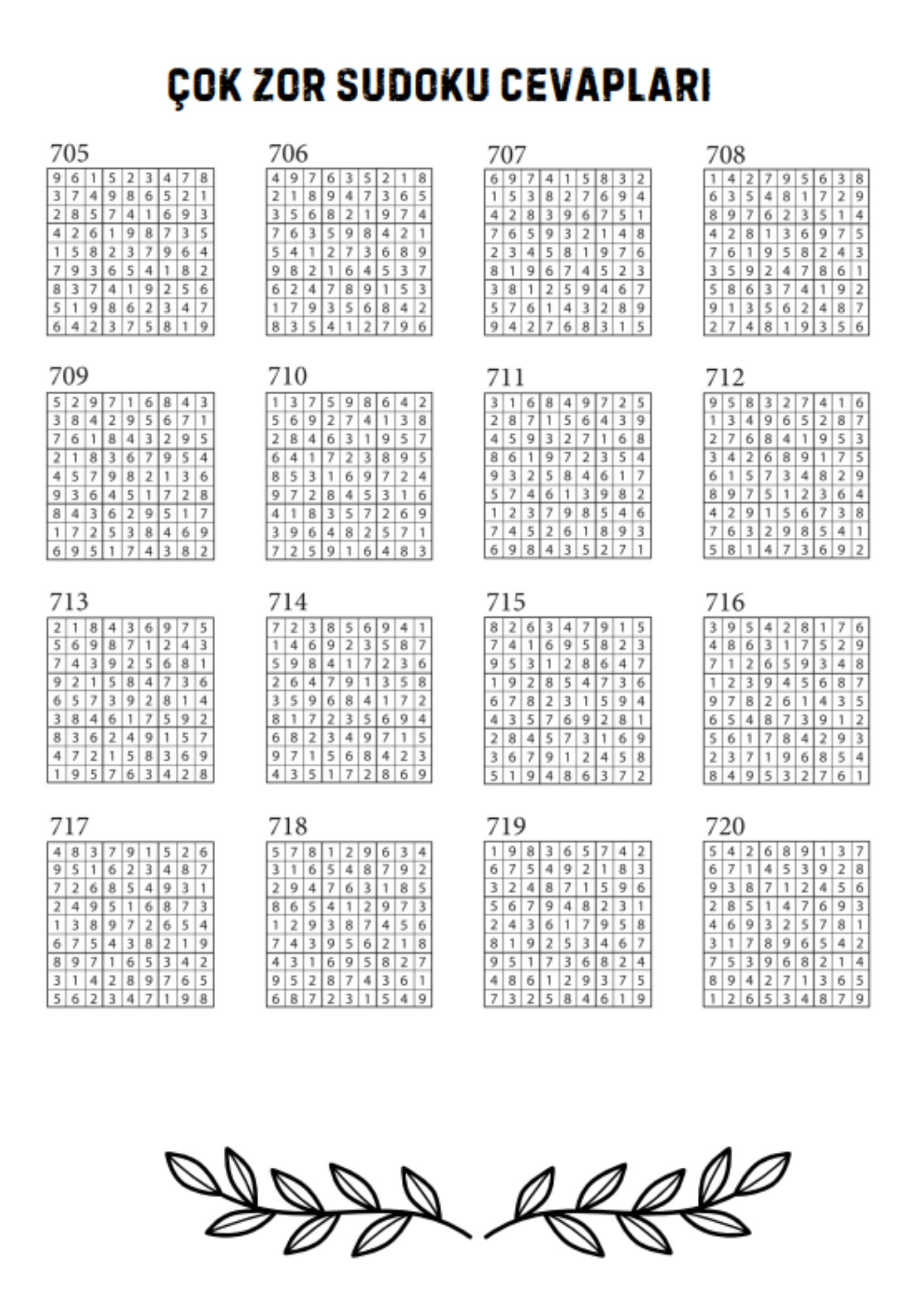 Zor-Çok Zor Sudoku Spiralli Kitap (320 Sudoku Cevaplarıyla)