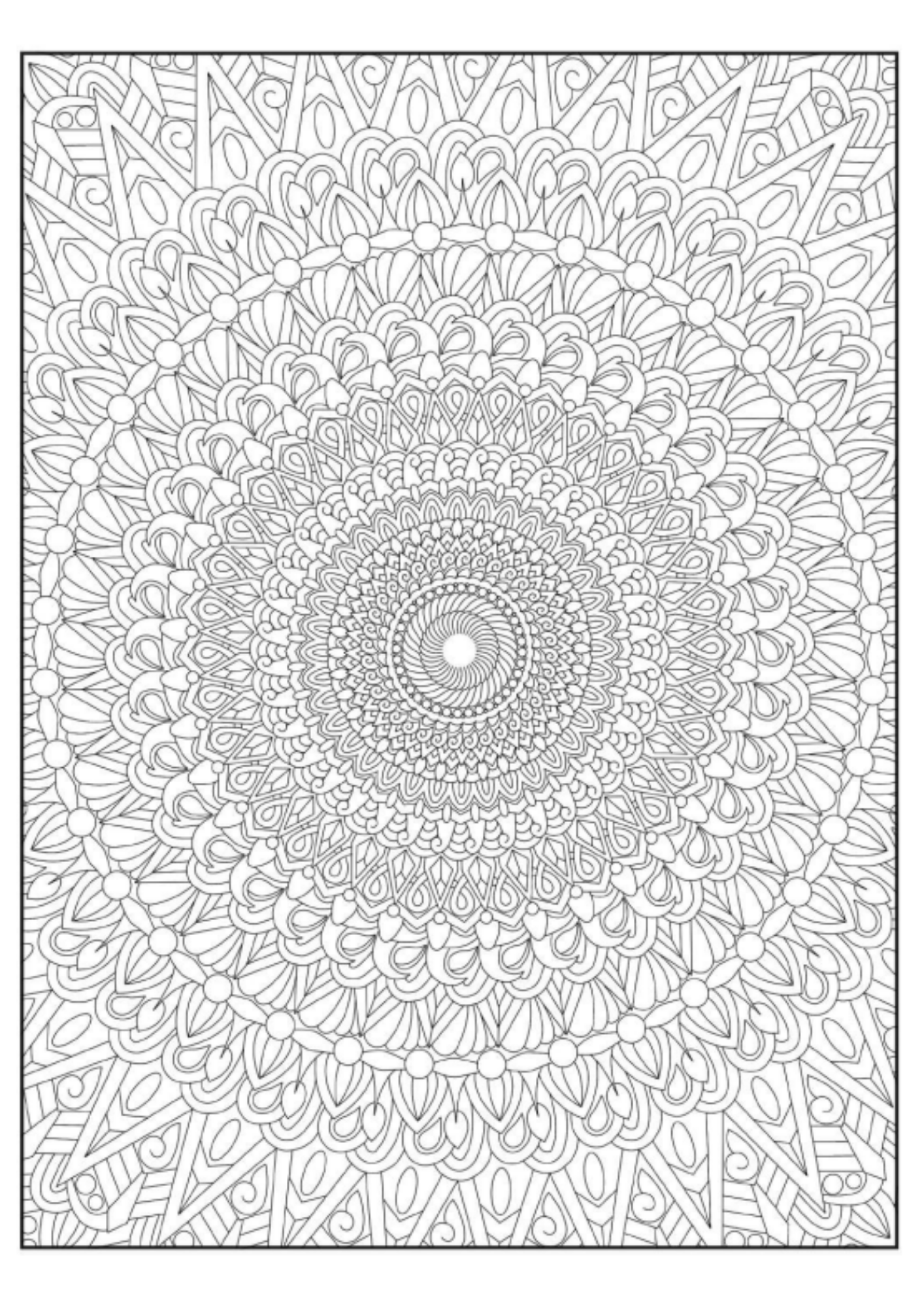 Zor Mandala Kitabı (Arkası Boş 45 Mandala)