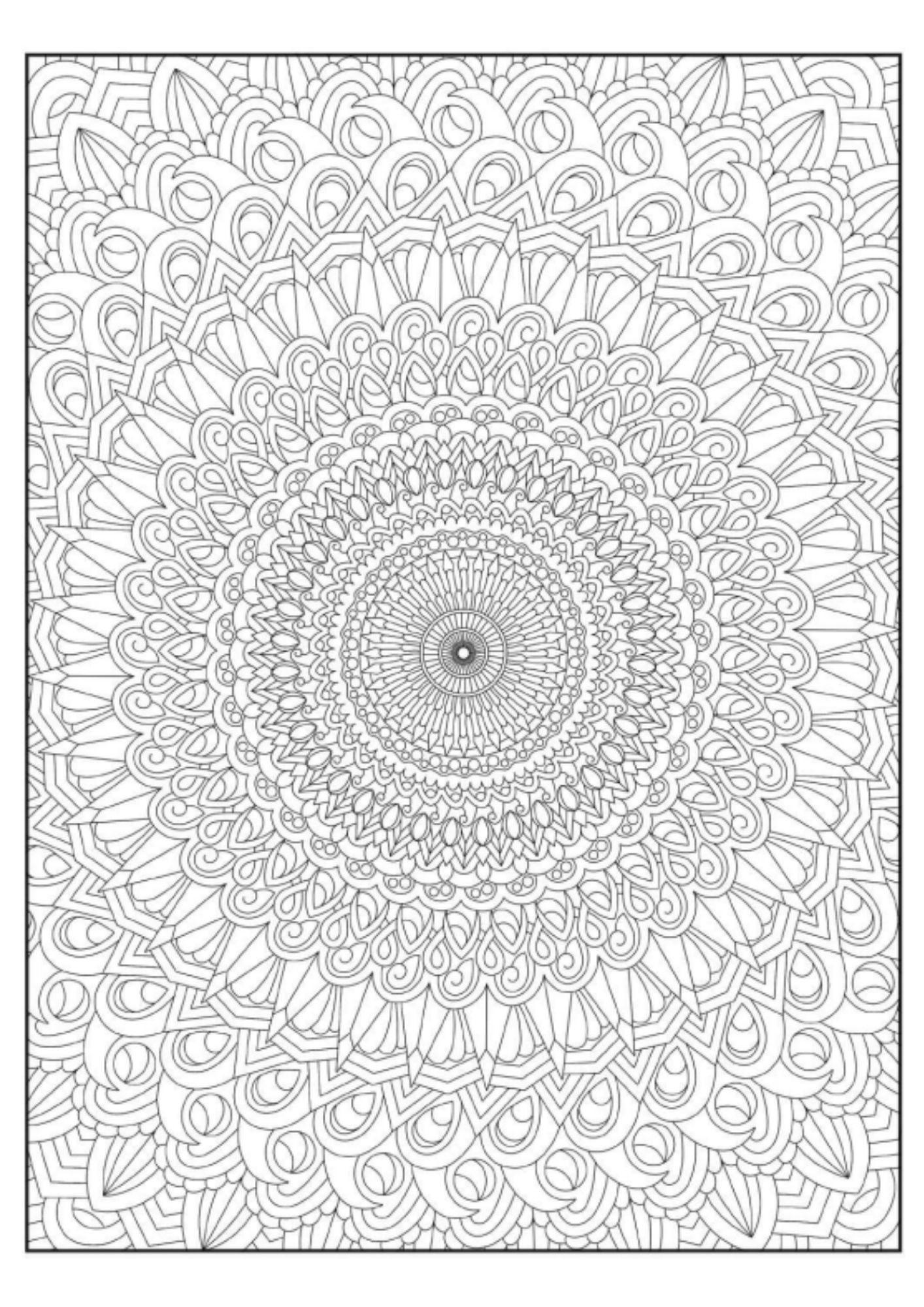 Zor Mandala Kitabı (Arkası Boş 45 Mandala)
