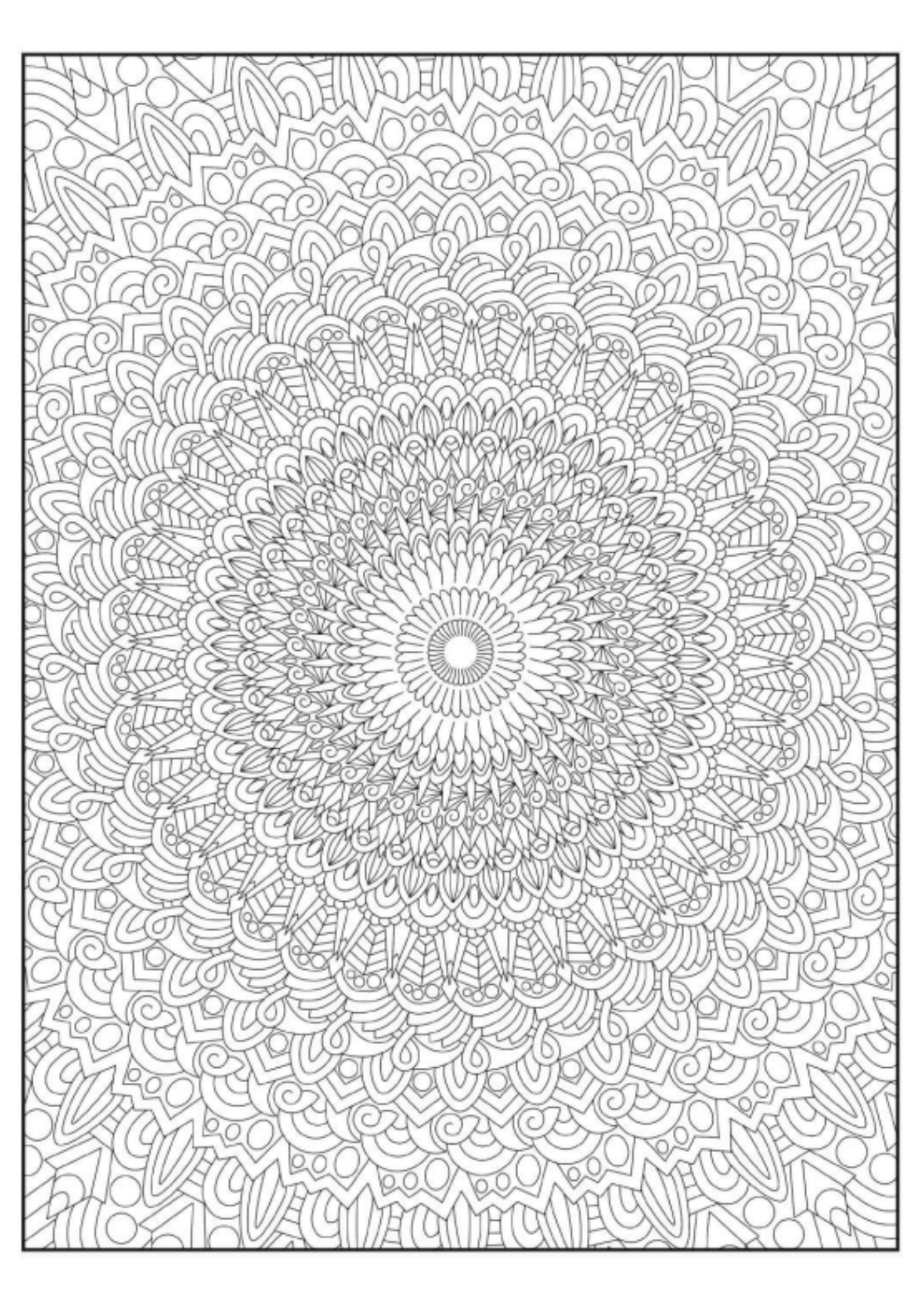 Zor Mandala Kitabı (Arkası Boş 45 Mandala)