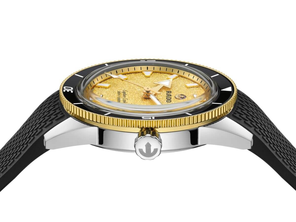 Rado Captain Cook 39mm Set R32223258 Erkek Kol Saati