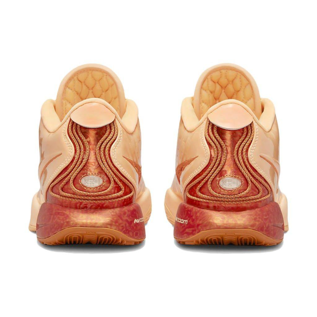 fv2345-800Nike LeBron 21 