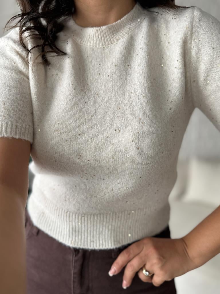 Dilvin Bisiklet Yaka Pullu Simli Triko Kazak Krem