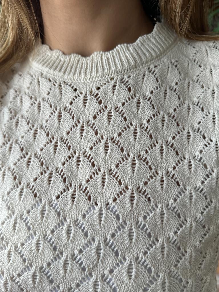 Orjinal Marka Yarım Kol Ajur Örme Triko Bluz