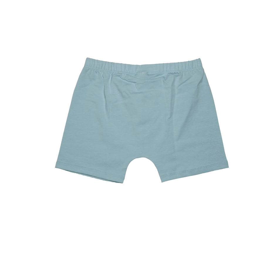 WalkiddyBoxerYeşil Düz Organik Supreme Boxer