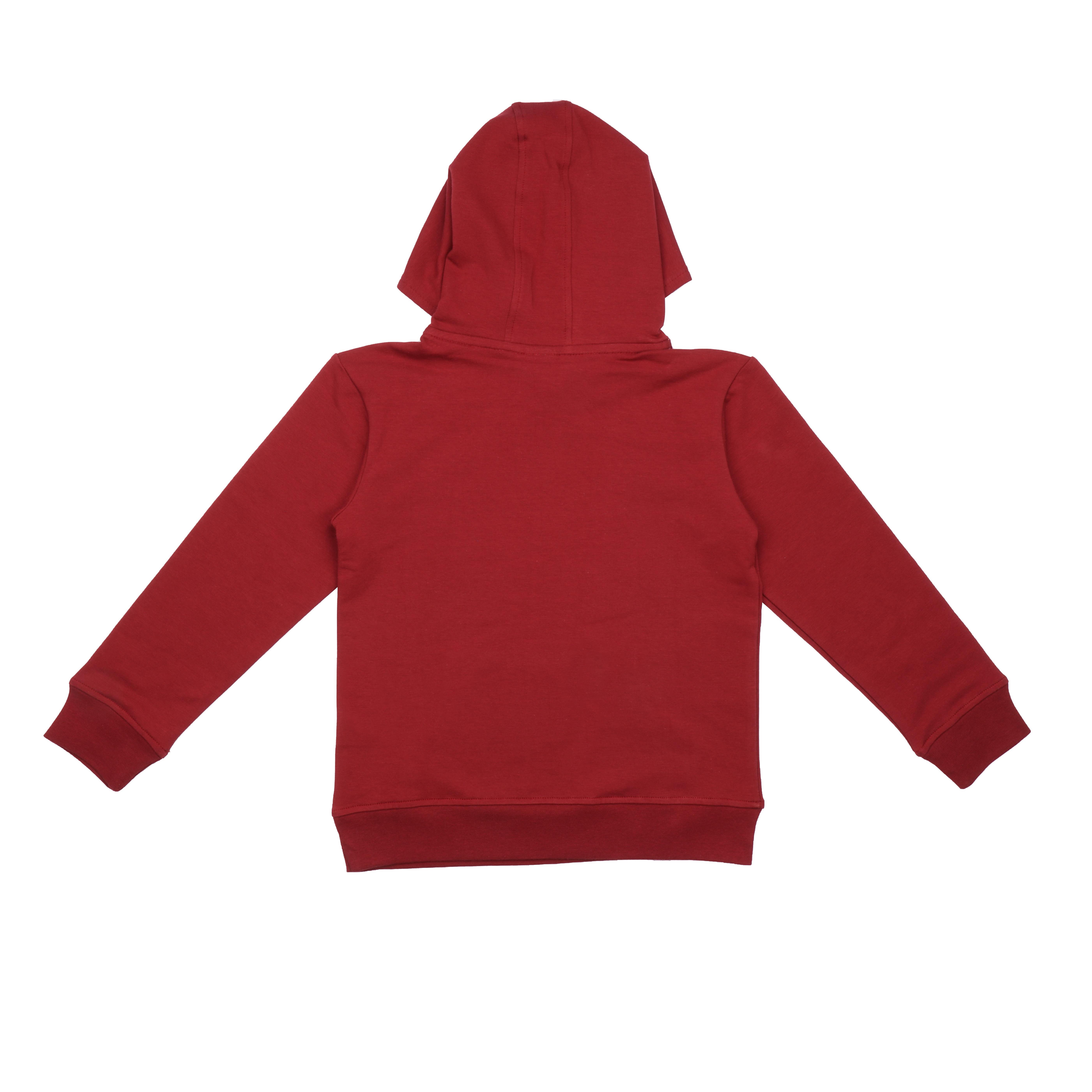 WalkiddyCeketBordo Kapüşon İçi Serçe Desenli Organik Çocuk Hoodie