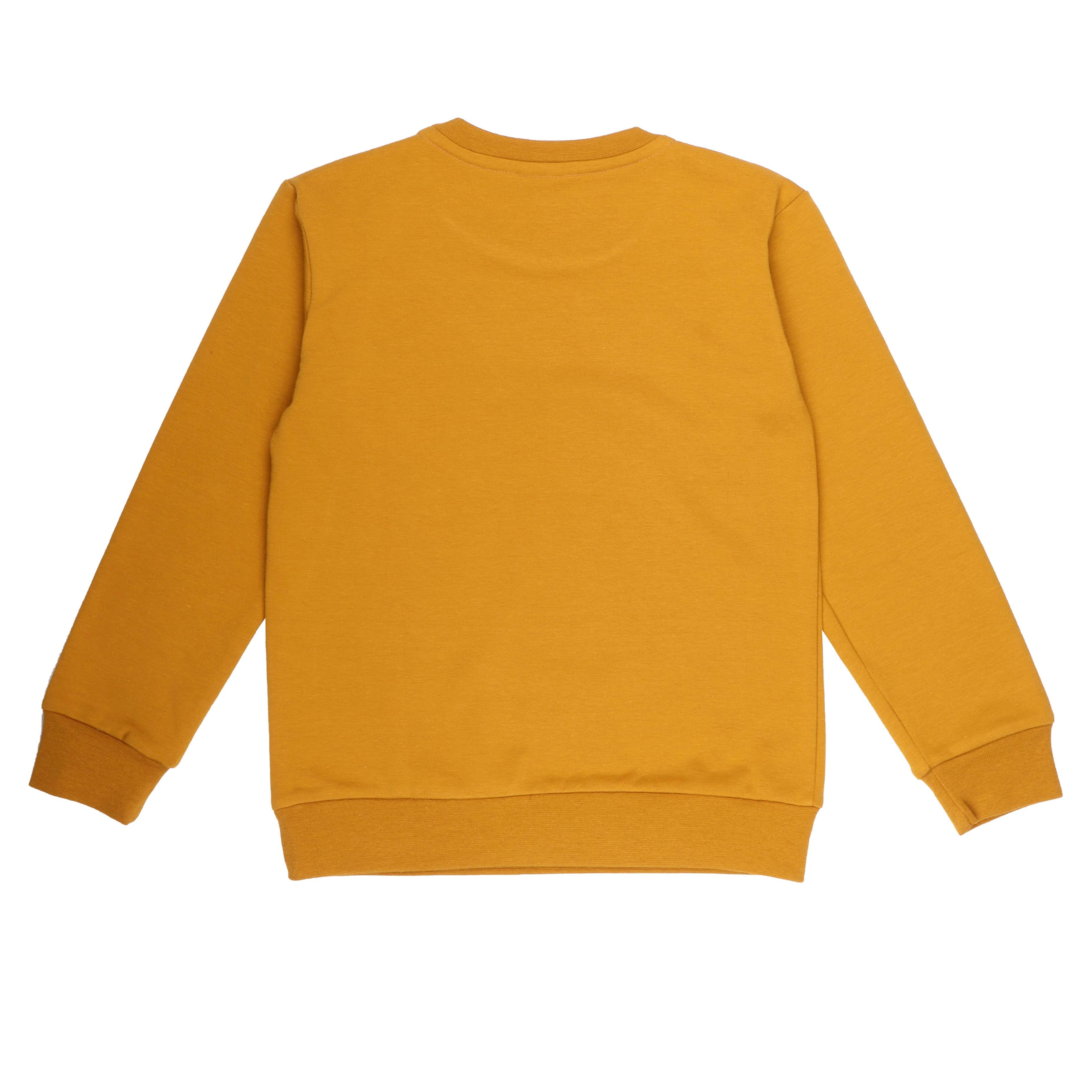 WalkiddySweatshirtHardal Kartal Baskılı Organik Çocuk Sweatshirt