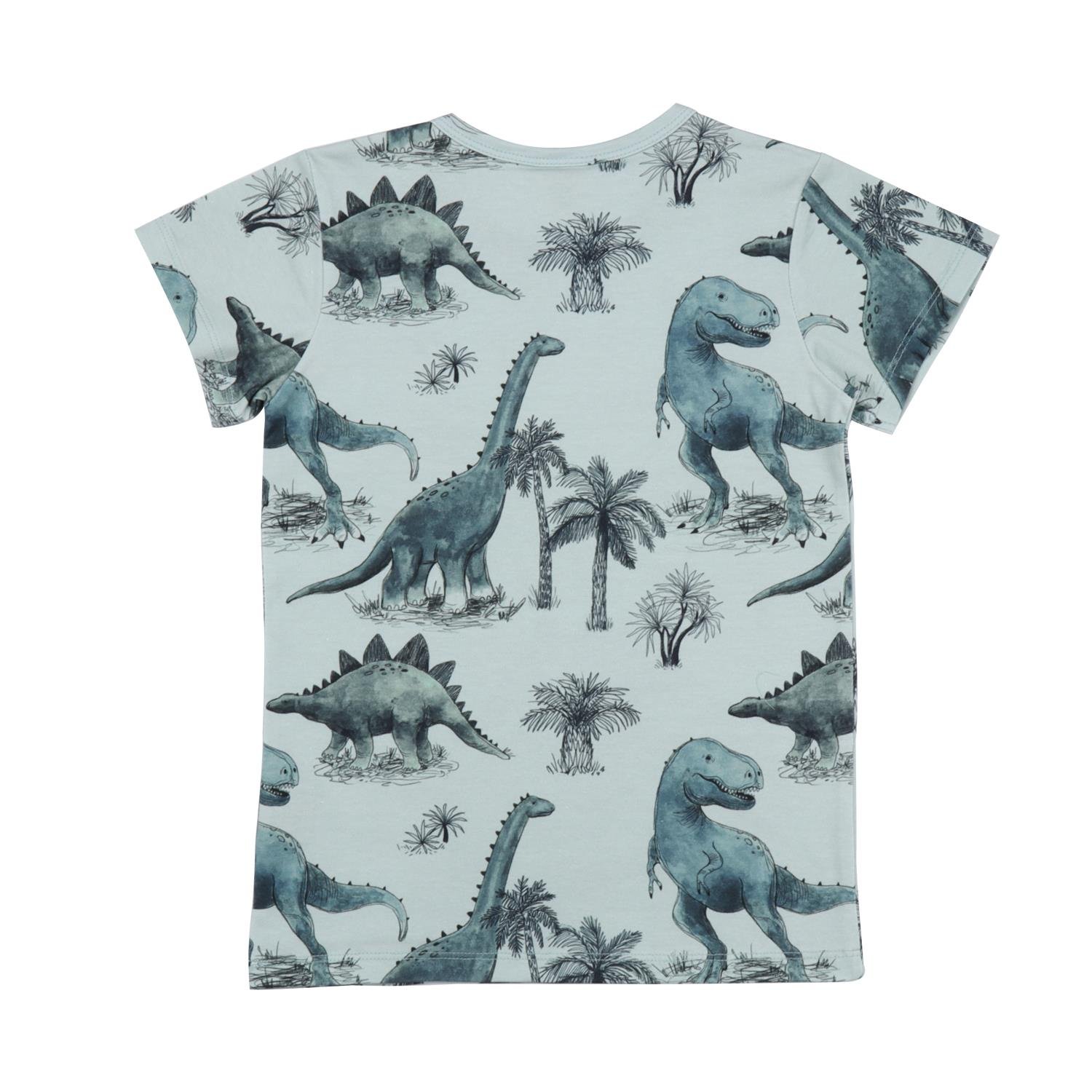 WalkiddyT-ShirtDinozor Desenli Organik Çocuk Tişört