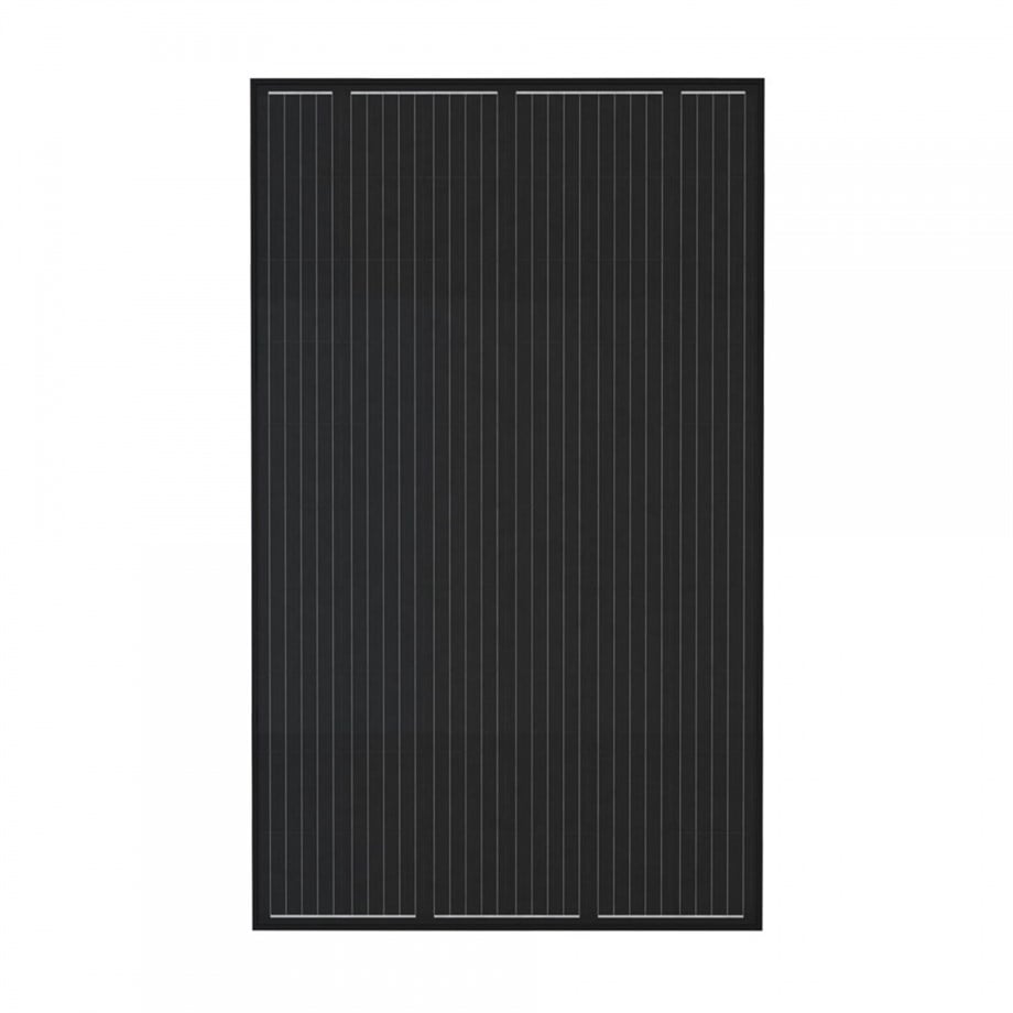 CW Enerji 325Wp 60PM Full Black Güneş Paneli